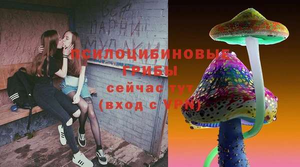 гидра Алзамай